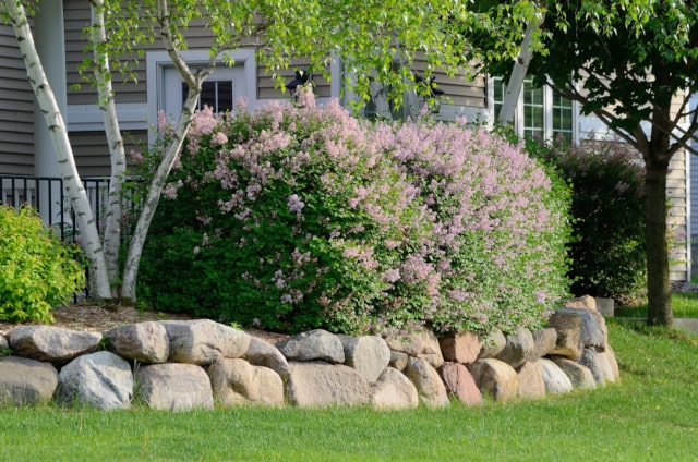A retaining wall.